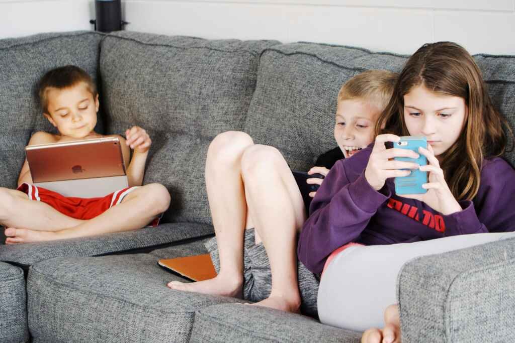 The Internet Addiction 1 The Internet Addiction: How It Affects Your Mind
